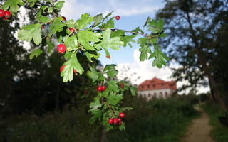 Obraz przedstawiający Jesień tuż tuż