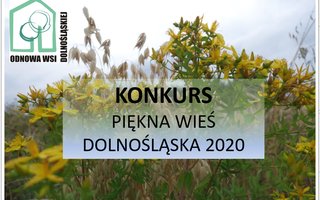 Obraz przedstawiający Konkurs - Piękna Wieś Dolnośląska 2020