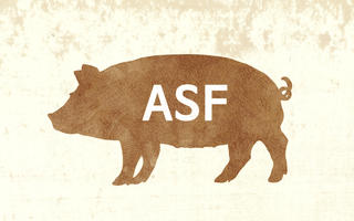 Obraz przedstawiający UWAGA, ASF!