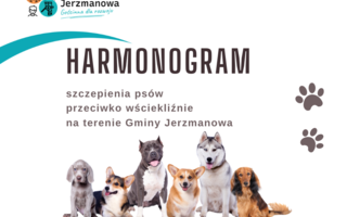 Obraz przedstawiający Harmonogram szczepienia psów przeciwko wściekliźnie w Gminie Jerzmanowa w 2024