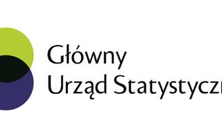 Obraz przedstawiający Program Badań Statystycznych Statystyki Publicznej na terenie całego kraju - co warto wiedzieć?