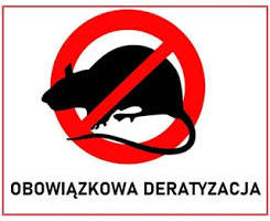 Przypominamy o obowiązku przeprowadzenia deratyzacji