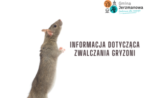 Obraz przedstawiający Informacja dotycząca zwalczania gryzoni