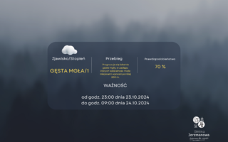 Obraz przedstawiający Ostrzeżenie meteorologiczne z dnia 13 grudnia 2024 r.