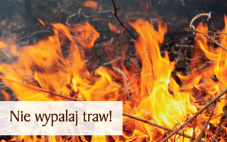 Obraz przedstawiający Nie wypalaj traw !