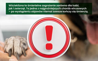 Obraz przedstawiający Wścieklizna - śmiertelne zagrożenie dla ludzi i zwierząt