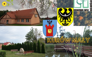 Obraz przedstawiający Warsztaty planistyczne dla Grup Odnowy Wsi Bądzów, Kurów Mały i Smardzów