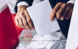 Obraz przedstawiający Wybory uzupełniające do Rady Gminy Jerzmanowa