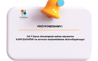 Obraz przedstawiający Zakaz użytkowania instalacji pozaklasowych, w których następuje spalanie paliw