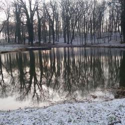 Obraz przedstawiający Pałac Jerzmanowa i długo oczekiwana „śnieżna biel”