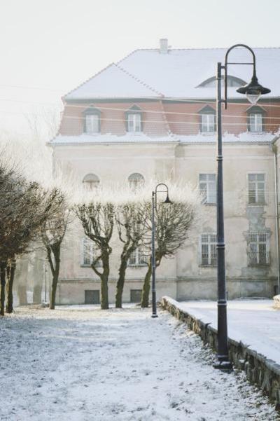 Obraz przedstawiający Zima 2019 - Pałac i Park
