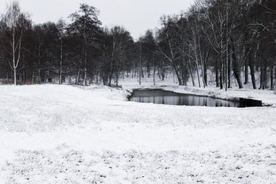 Obraz przedstawiający Pałac zima 2019