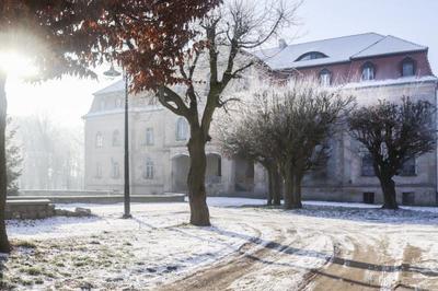 Obraz przedstawiający Zima 2019 - Pałac i Park