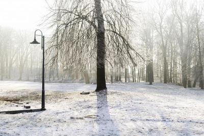 Obraz przedstawiający Zima 2019 - Pałac i Park