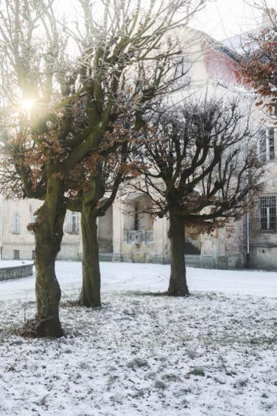 Obraz przedstawiający Zima 2019 - Pałac i Park