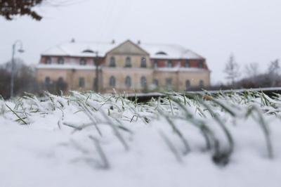 Obraz przedstawiający Pałac zima 2019