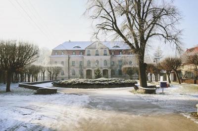 Obraz przedstawiający Zima 2019 - Pałac i Park