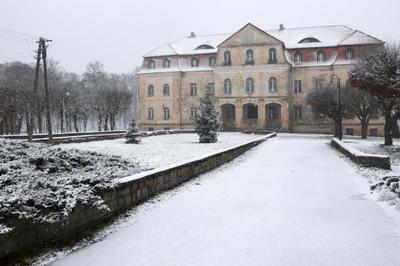 Obraz przedstawiający Pałac zima 2019