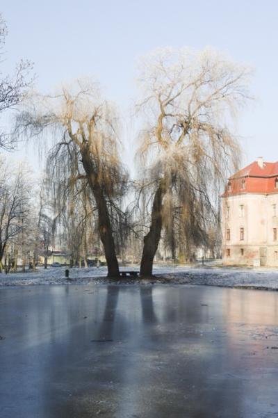 Obraz przedstawiający Zima 2019 - Pałac i Park